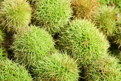 Photo of Many fresh sweet edible chestnuts as background, closeup