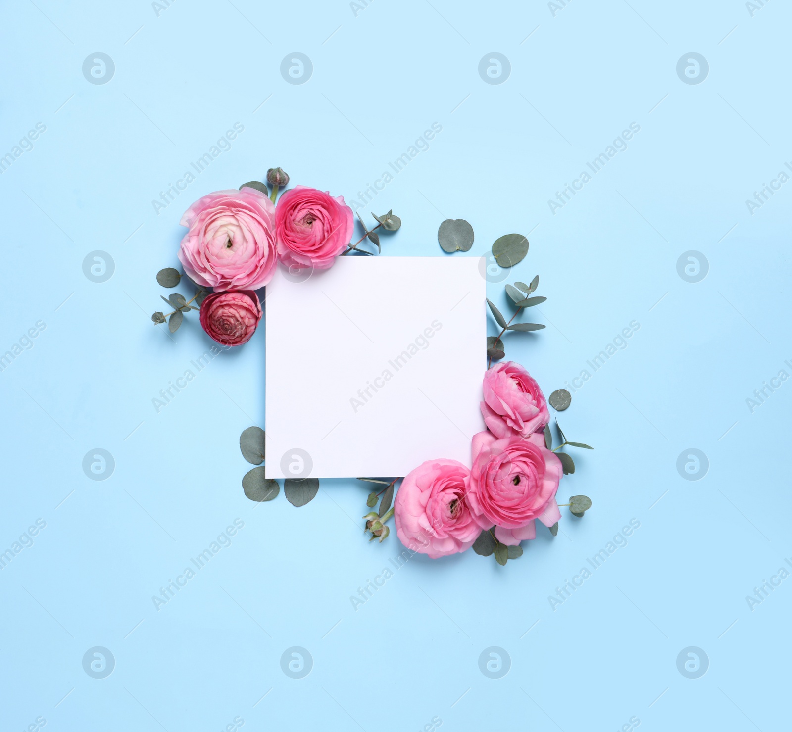 Photo of Beautiful ranunculus flowers and paper card on light blue background, flat lay. Space for text