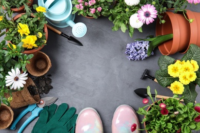 Photo of Flat lay composition with gardening equipment and flowers on color background, space for text