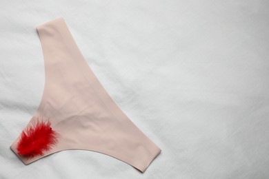 Photo of Woman's panties with red feather on white fabric, top view. Space for text