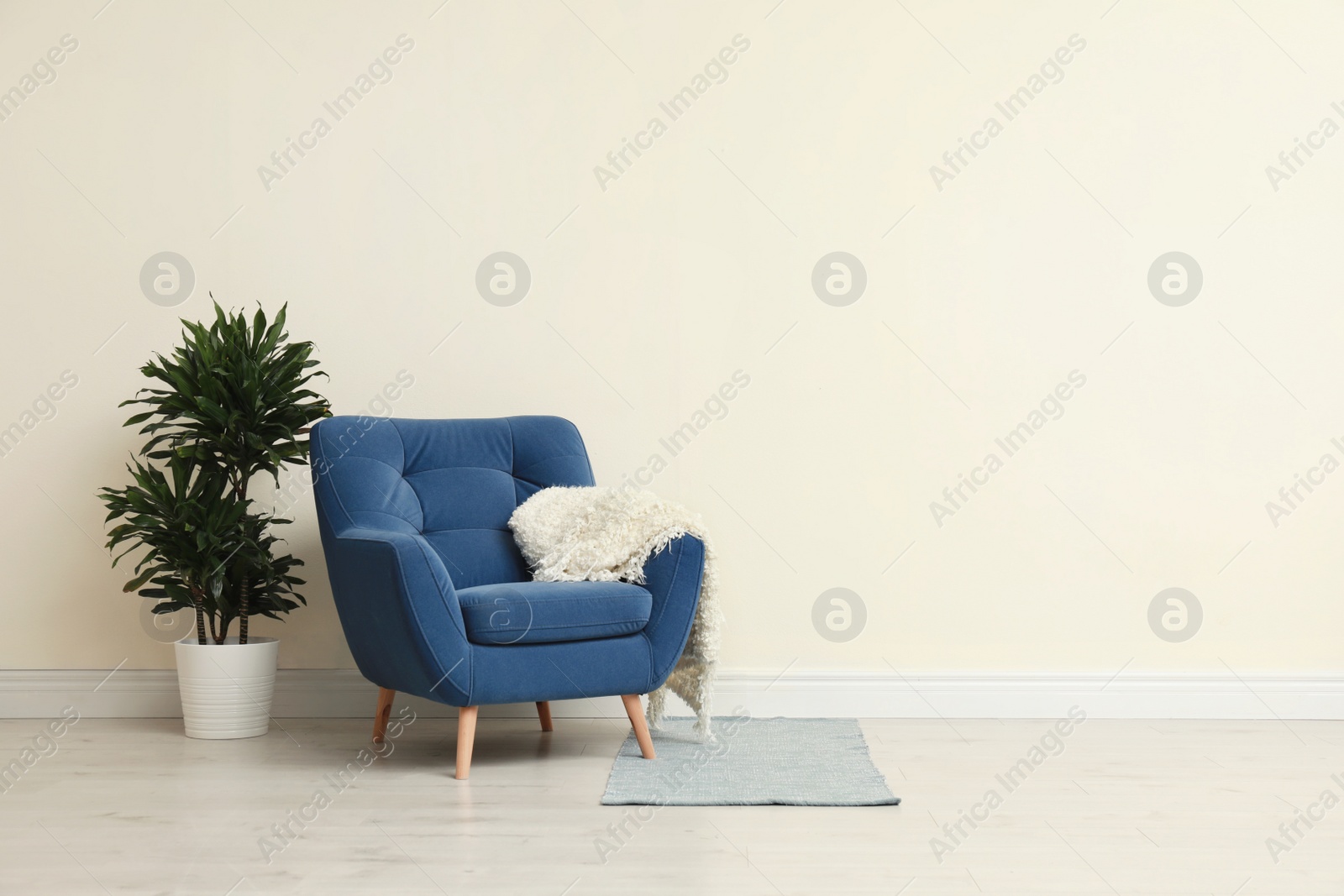 Photo of Stylish room interior with comfortable armchair and plant near beige wall. Space for text