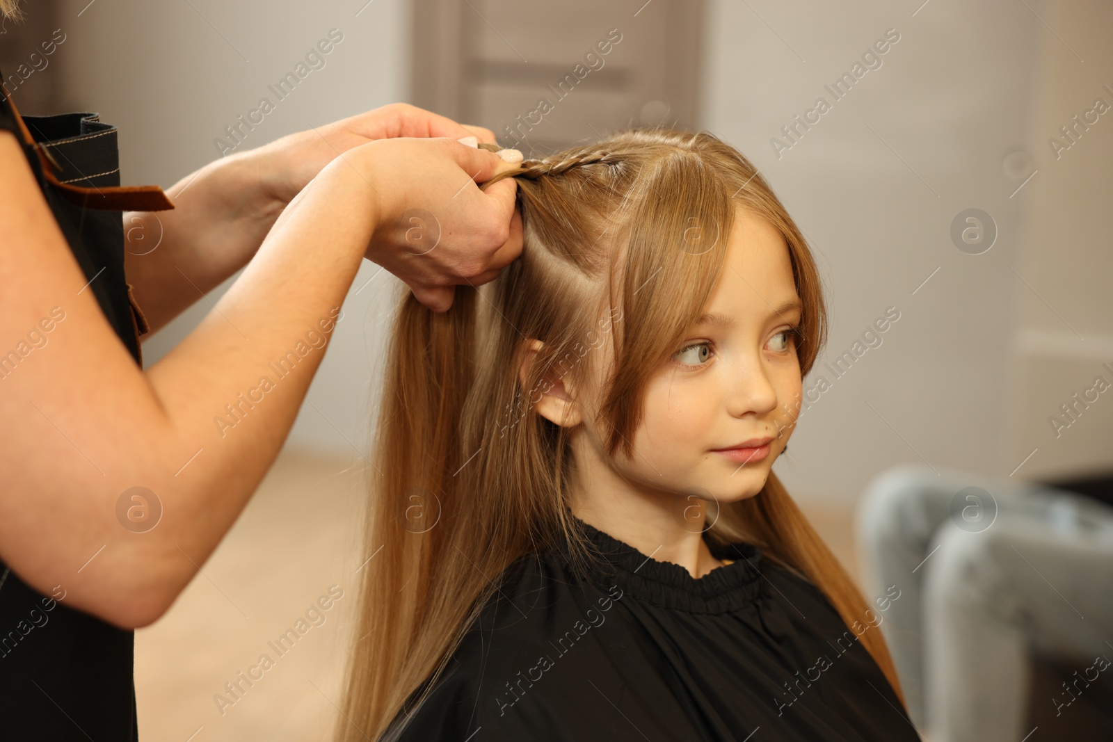 Photo of Professional hairdresser braiding girl's hair in beauty salon, closeup