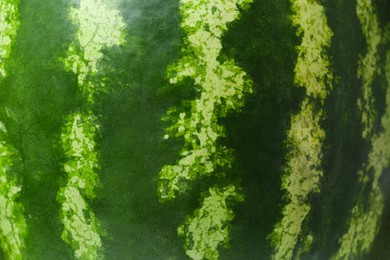 Photo of Whole ripe watermelon as background, closeup view
