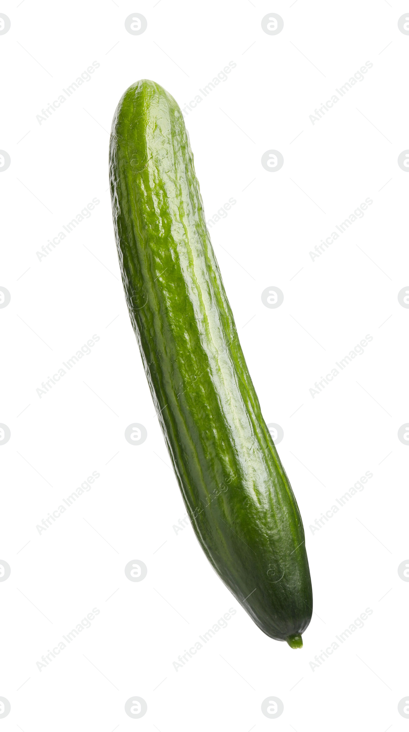 Photo of One long fresh cucumber isolated on white