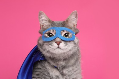 Adorable cat in blue superhero cape and mask on pink background