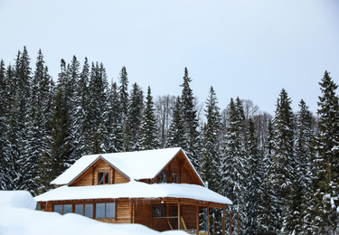 Photo of Modern cottage in snowy coniferous forest on winter day