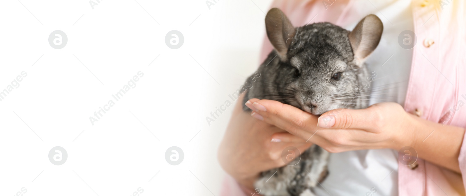 Image of Young woman with her cute pet at home, space for text. Banner design