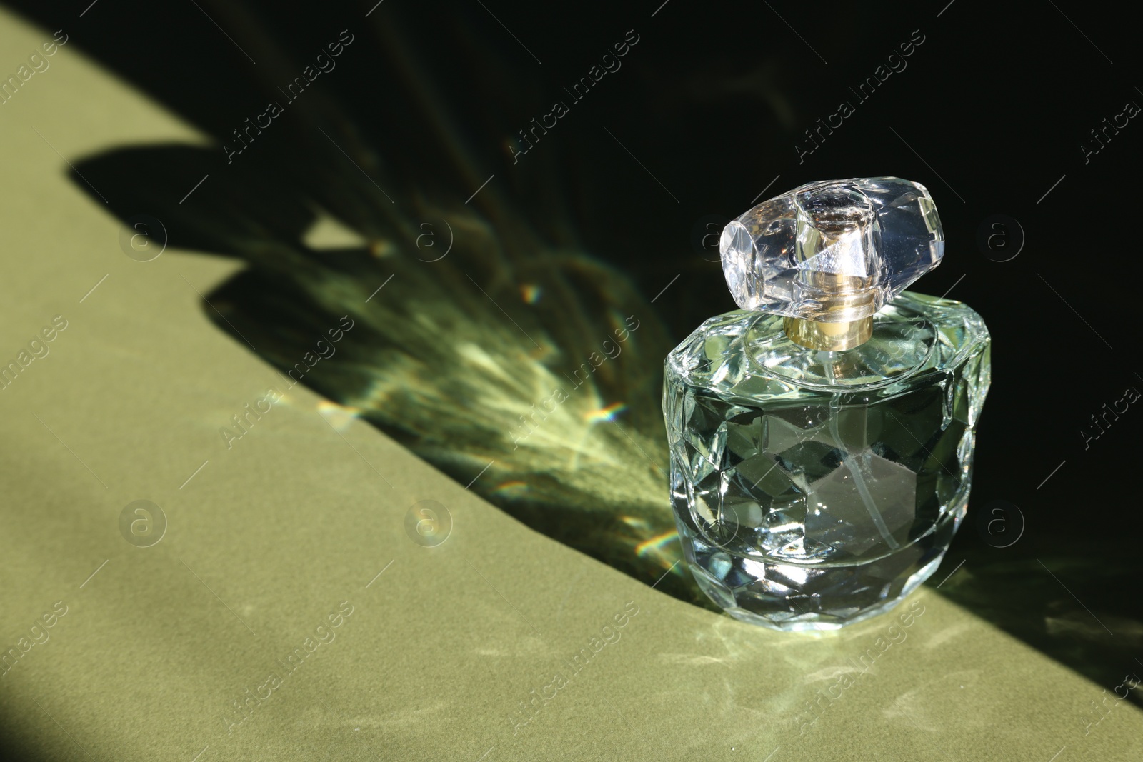 Photo of Luxury women's perfume. Sunlit glass bottle on olive background. Space for text