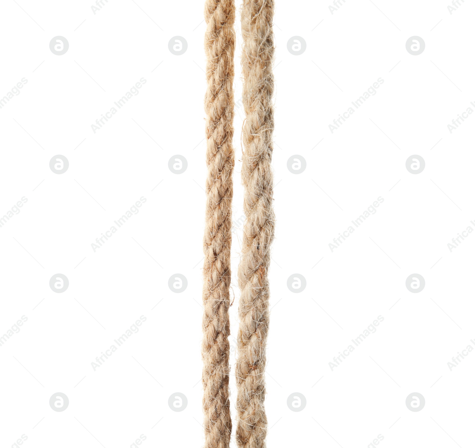 Photo of Hemp ropes on white background. Organic material