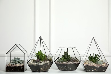 Glass florarium vases with succulents on white table indoors