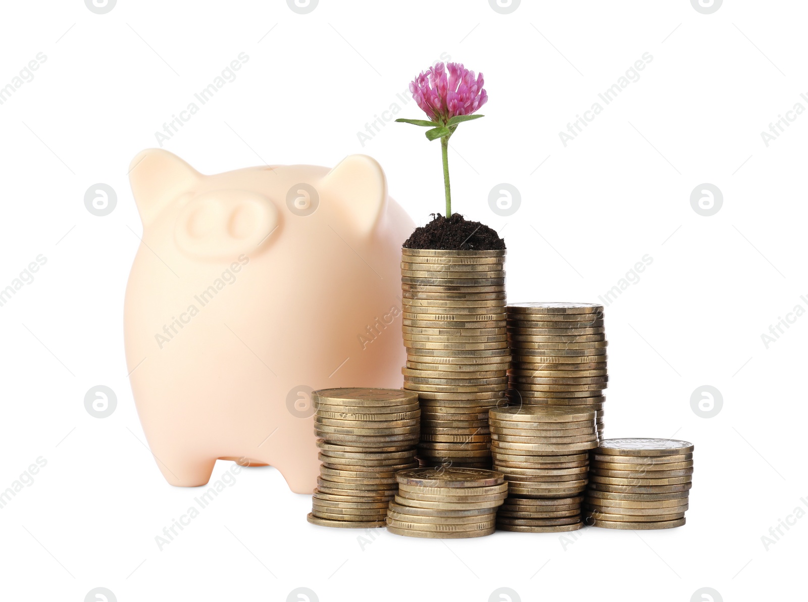 Photo of Stacks of coins with flower and piggy bank isolated on white. Investment concept