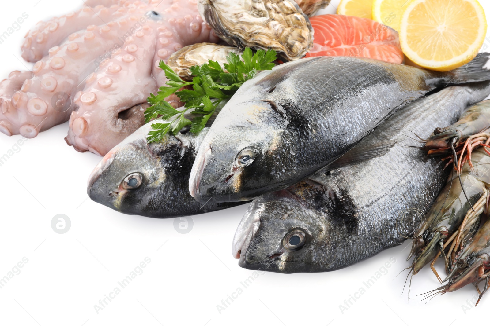 Photo of Fresh dorado fish, octopus, shrimps, oysters and salmon on white background, closeup