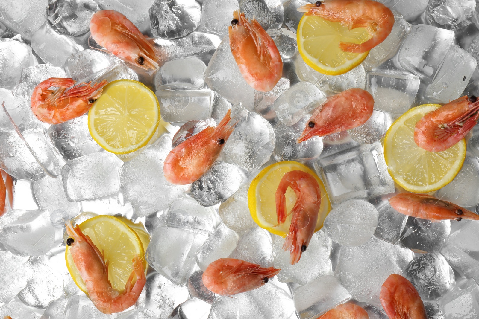 Photo of Flat lay composition with shrimps and lemon slices on ice cubes