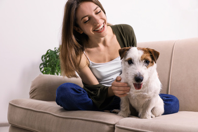 Young woman with her cute Jack Russell Terrier on sofa at home. Lovely pet