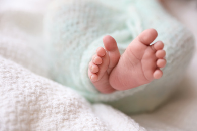 Photo of Newborn baby lying on plaid, closeup of legs. Space for text