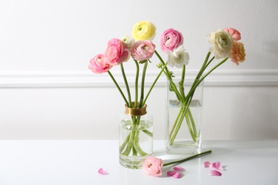 Beautiful ranunculus flowers in vases on white table near wall