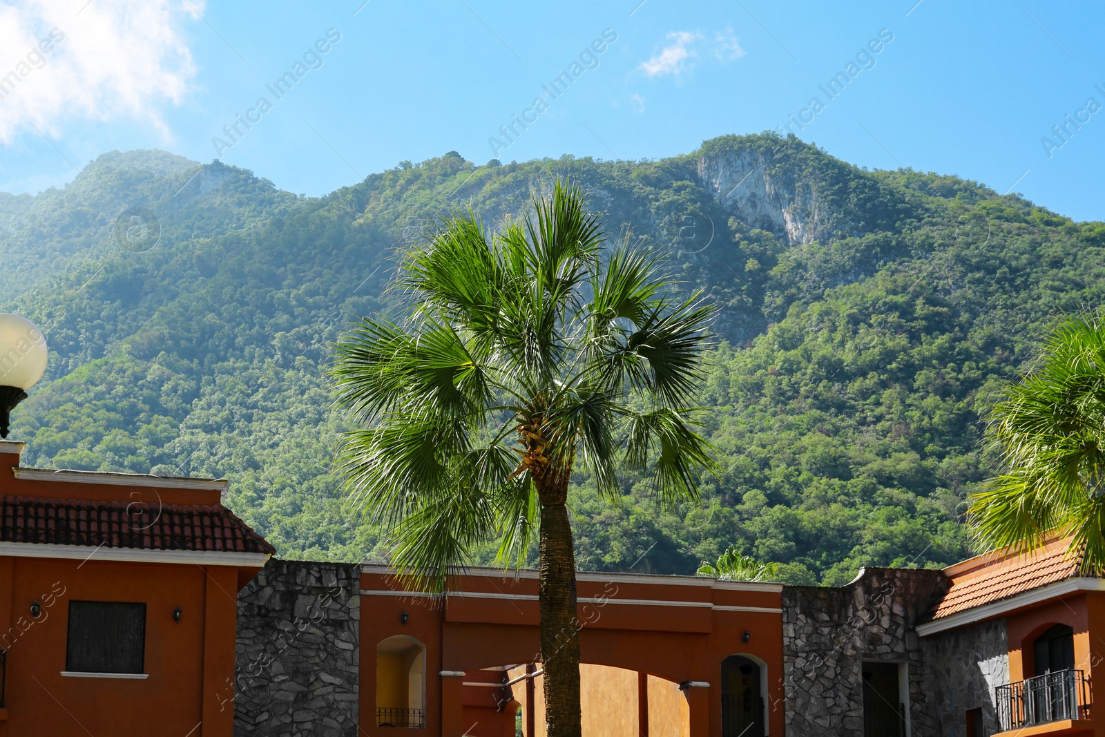 Photo of View of city buildings and palm trees near beautiful mountain