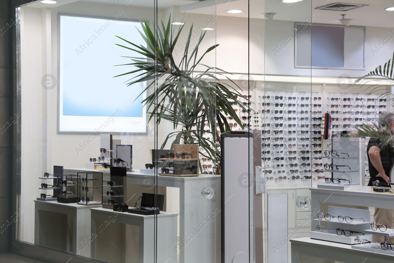 Photo of Showcase with different glasses in optical store