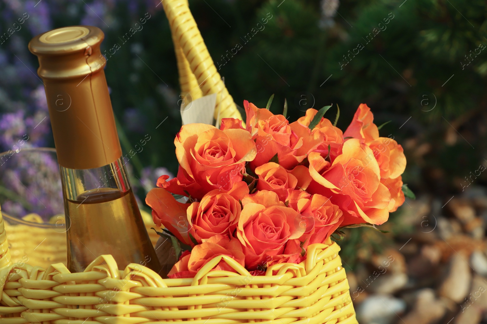 Photo of Yellow wicker bag with beautiful roses and bottle of wine outdoors