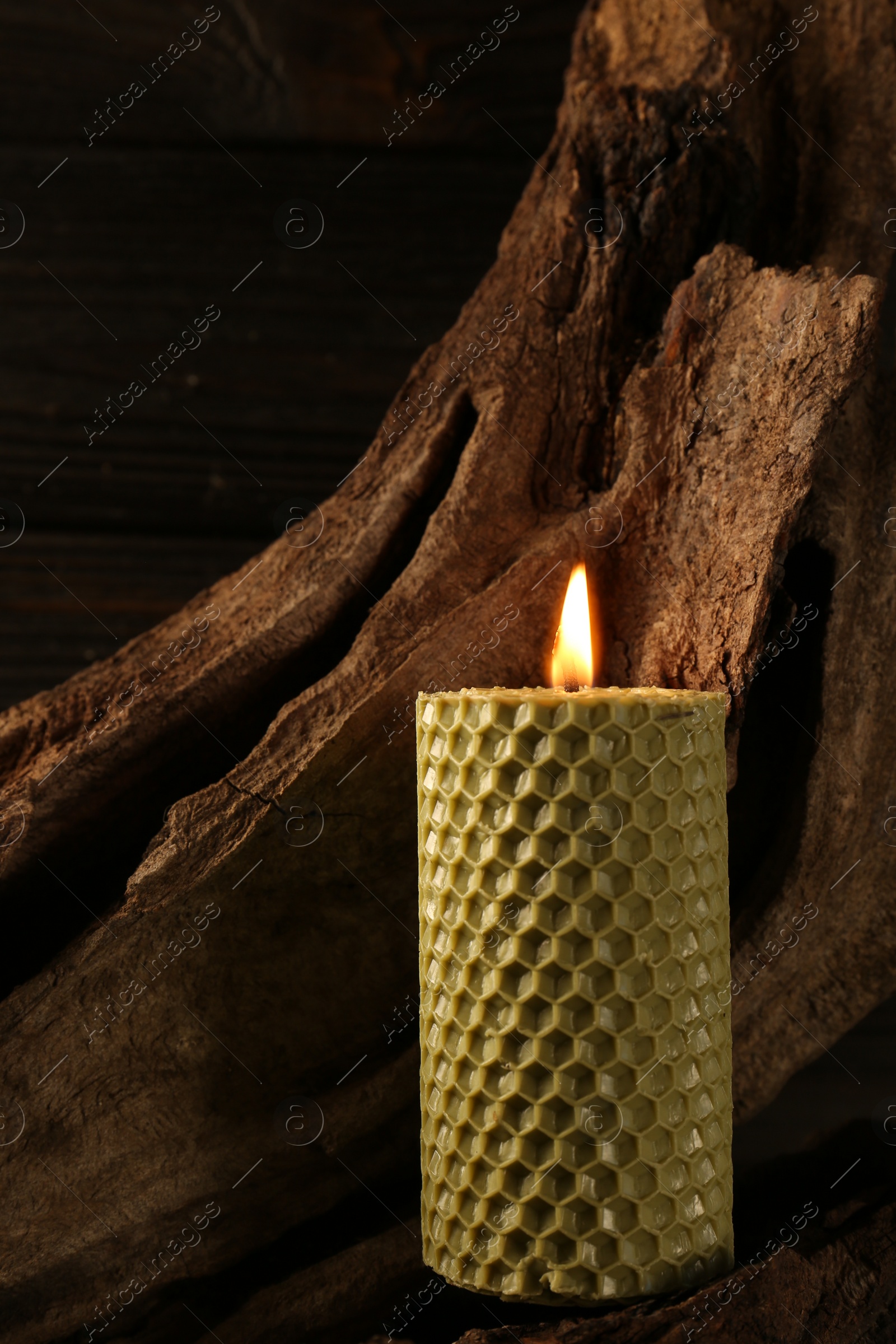 Photo of Beautiful burning beeswax candle on snag near wooden wall