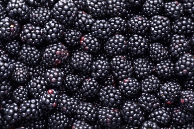 Photo of Fresh ripe blackberries as background, top view