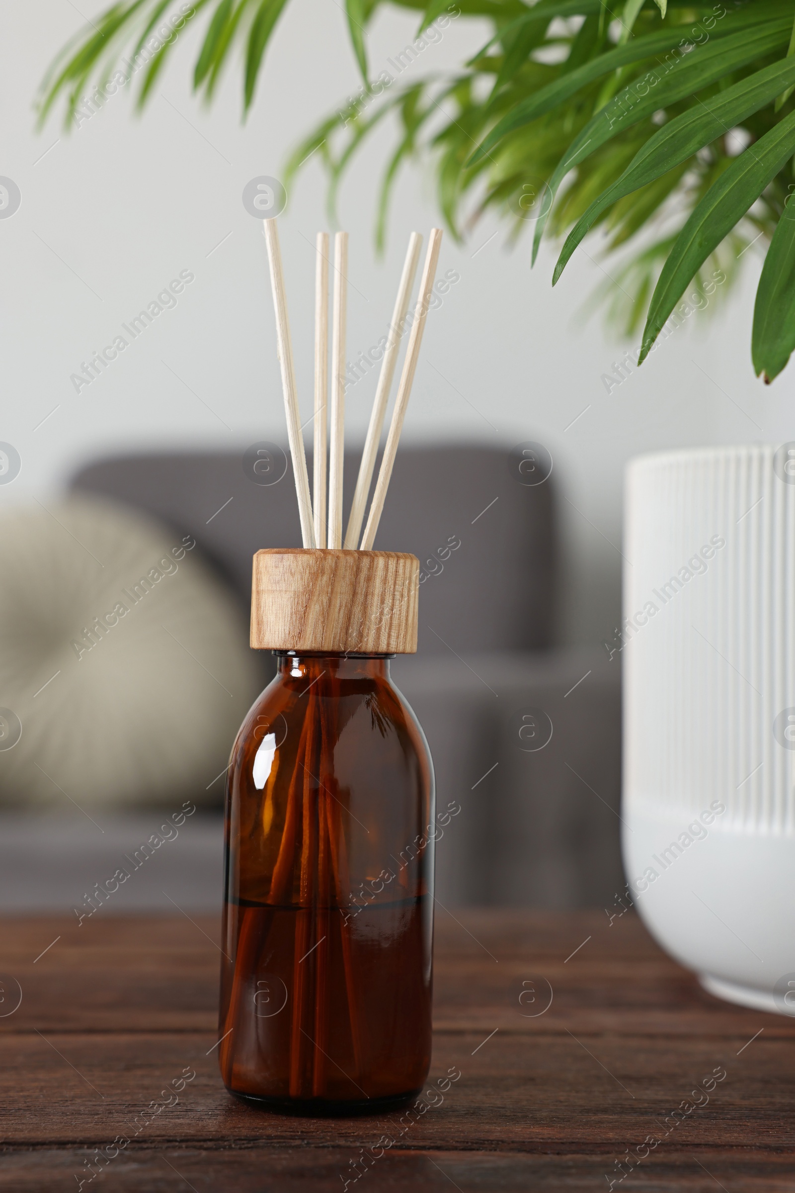 Photo of Aromatic reed air freshener near houseplant on wooden table indoors