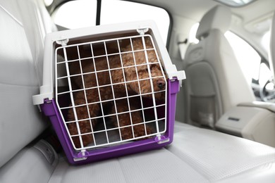 Cute dog in pet carrier travelling by car
