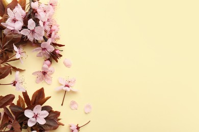 Spring tree branches with beautiful blossoms, flowers and petals on yellow background, flat lay. Space for text