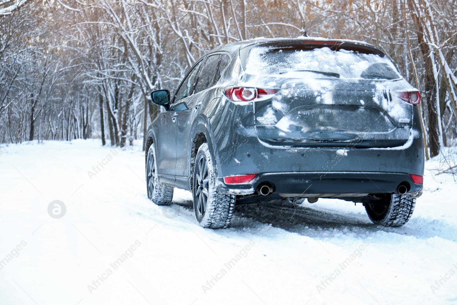 Photo of Snowy country road with car on winter day