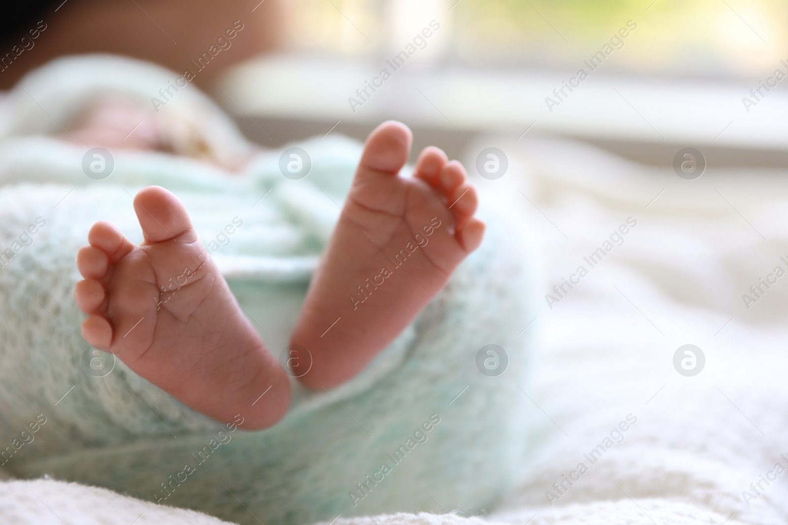 Photo of Newborn baby lying on white plaid, closeup of legs