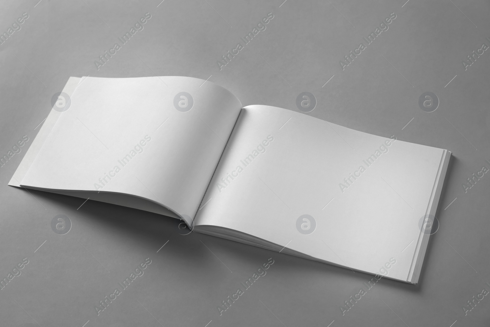 Photo of Open blank brochure on light grey background