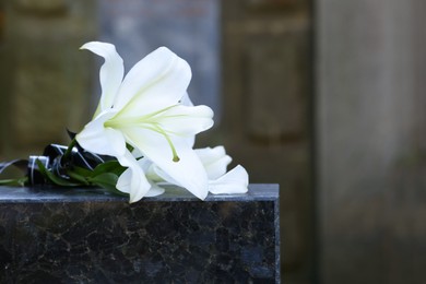 White lilies on granite tombstone in cemetery, space for text