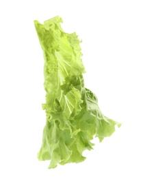 Photo of Leaf of fresh lettuce on white background. Salad greens