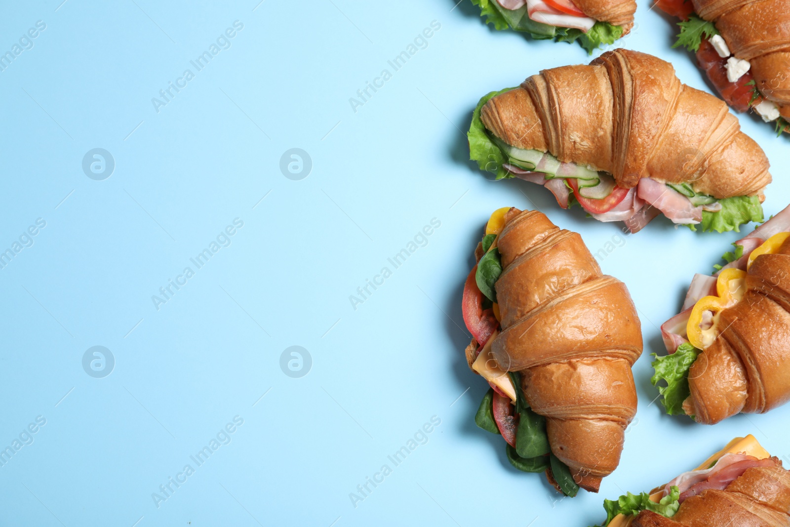 Photo of Croissant sandwiches on light blue background, flat lay. Space for text