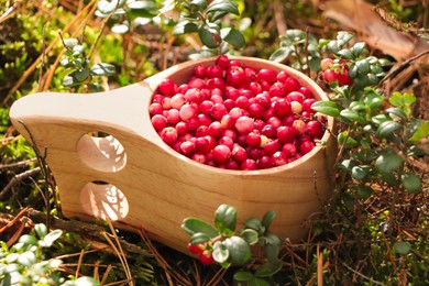 Photo of Many tasty ripe lingonberries in wooden cup outdoors, closeup