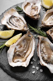 Delicious fresh oysters with lemon slices served on grey table