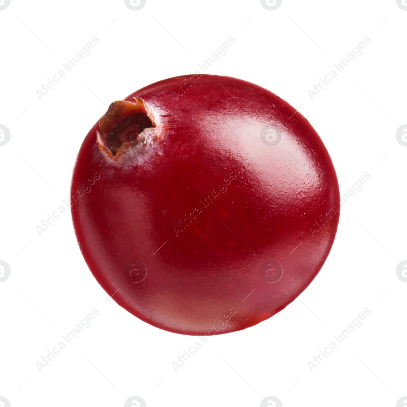 Photo of One fresh ripe cranberry isolated on white