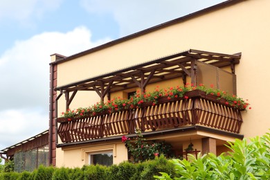 Wooden balcony decorated with beautiful blooming potted flowers