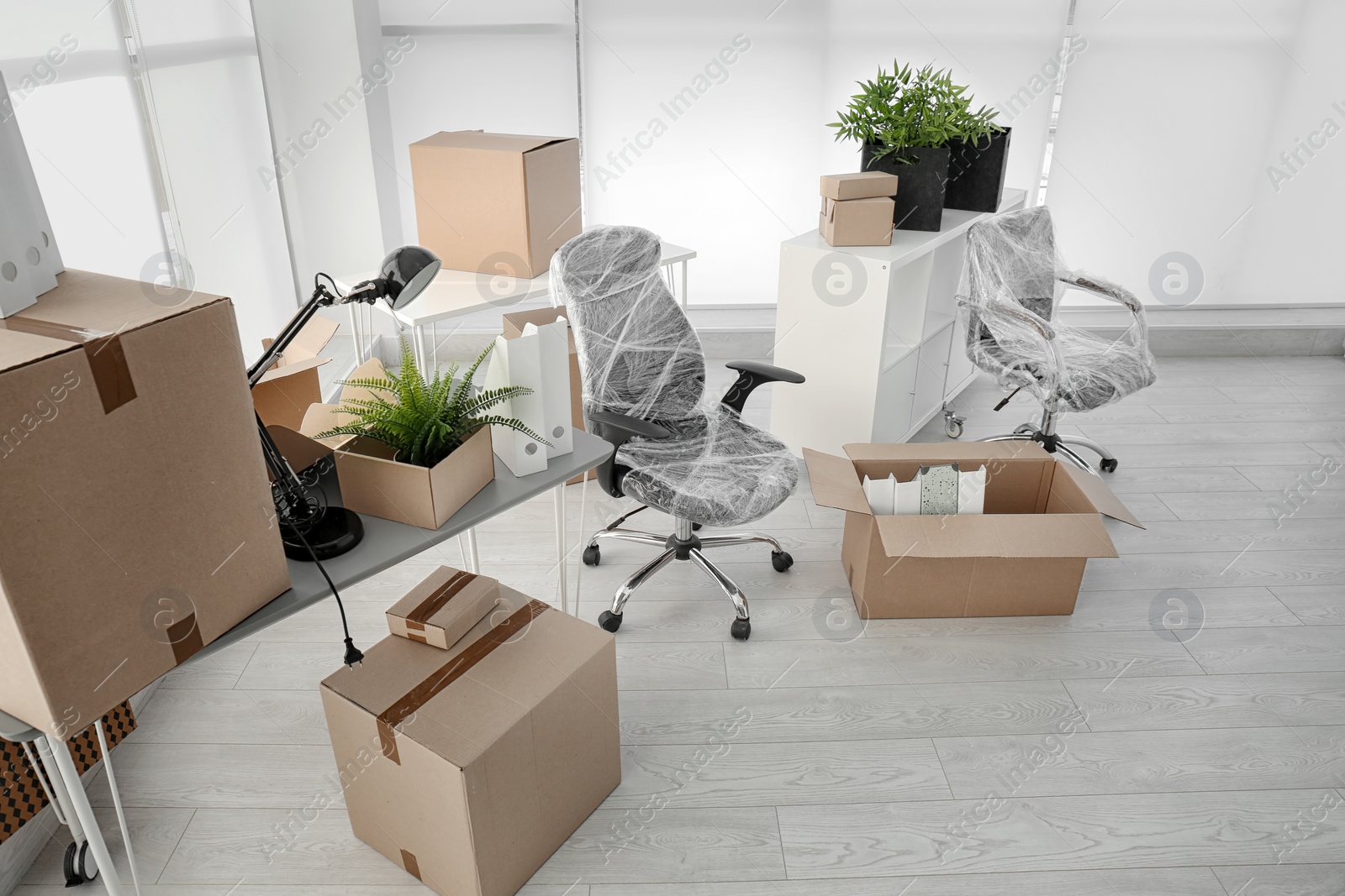 Photo of Moving boxes and furniture in new office