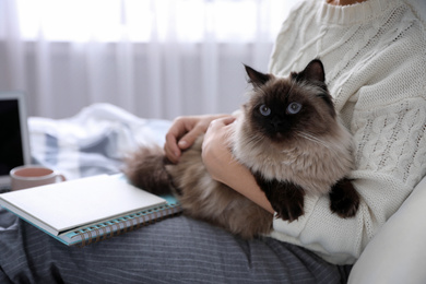 Photo of Woman with her cute Balinese cat at home, closeup. Fluffy pet