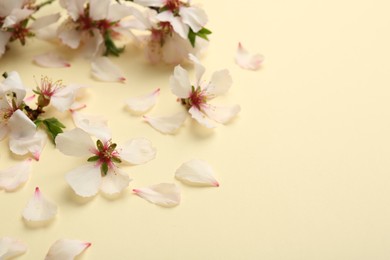 Photo of Spring blossoms and petals on beige background, closeup. Space for text