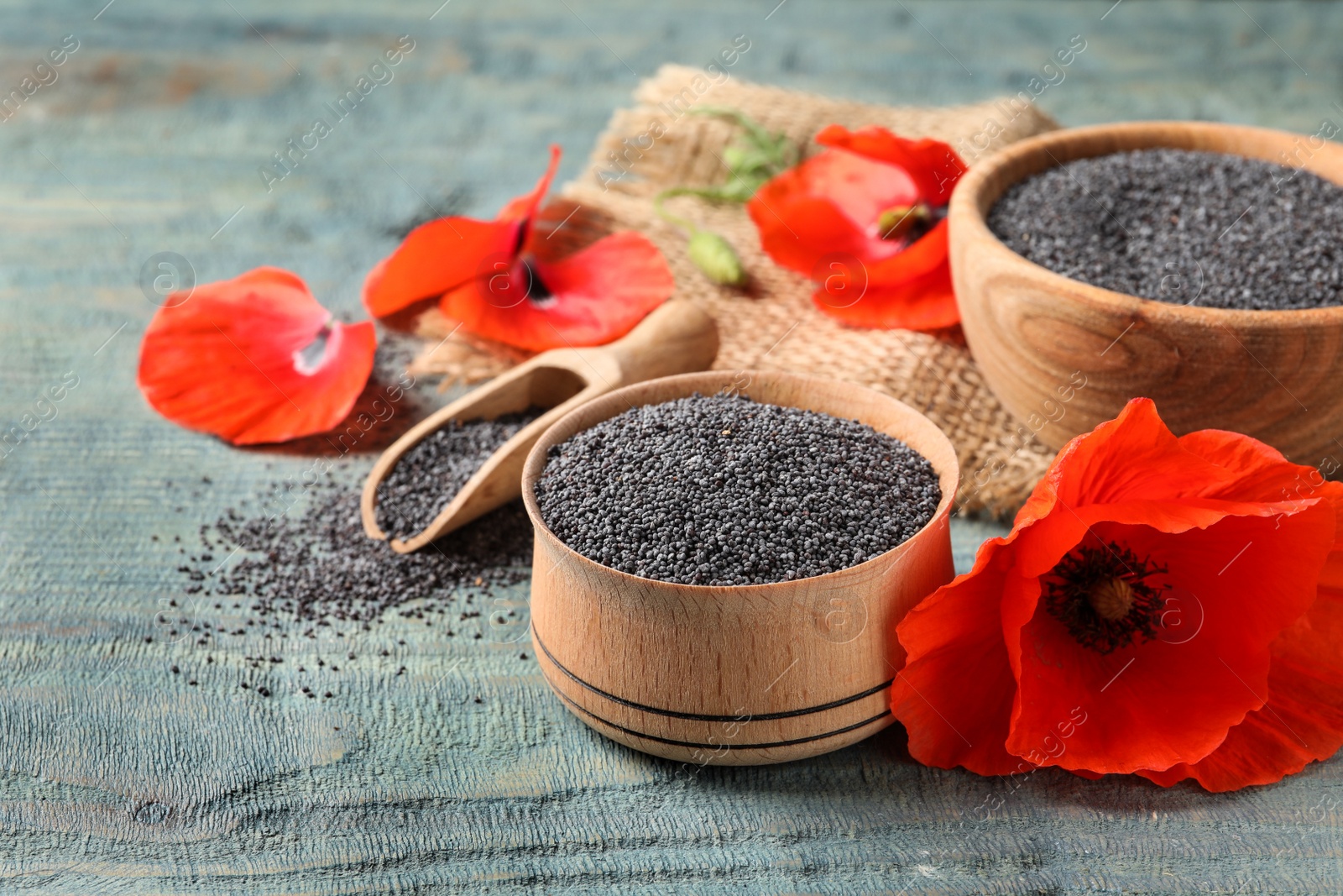 Photo of Wooden bowls of poppy seeds, scoop and flower on color table. Space for text