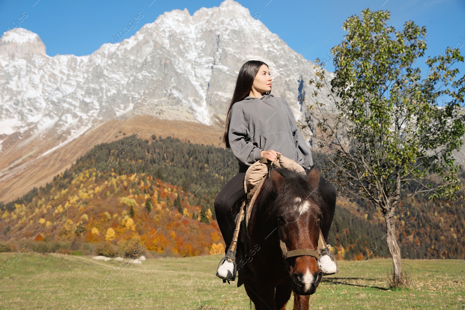 Photo of Young woman riding horse in mountains on sunny day. Beautiful pet