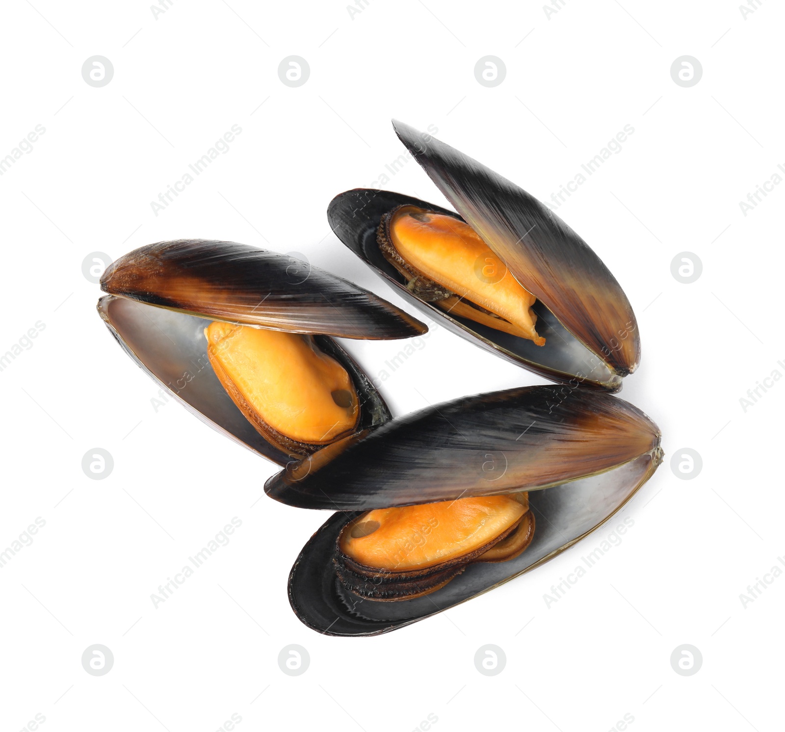 Photo of Delicious cooked mussels in shells on white background, top view