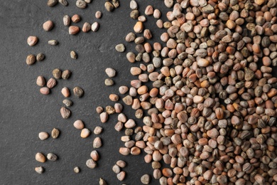 Photo of Raw radish seeds on grey background, flat lay. Vegetable planting