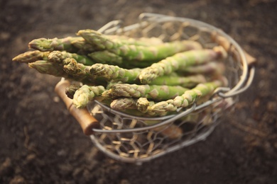 Photo of Metal basket with fresh asparagus on ground outdoors, closeup