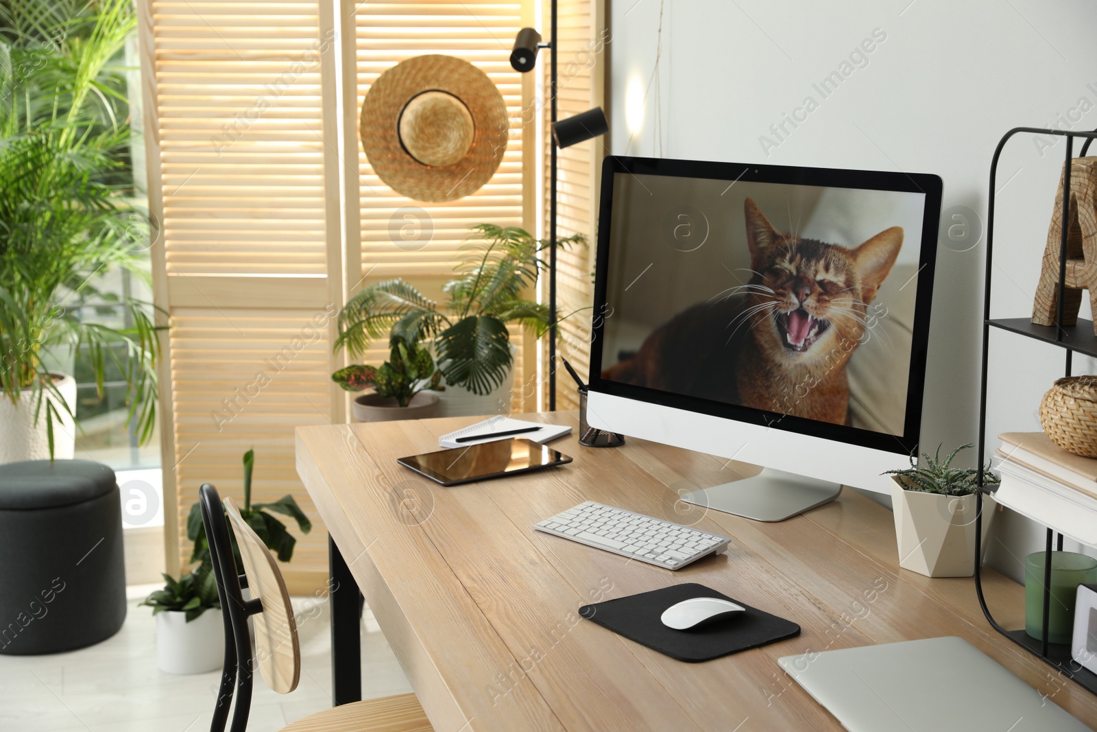 Photo of Comfortable workplace with computer in light room. Interior design