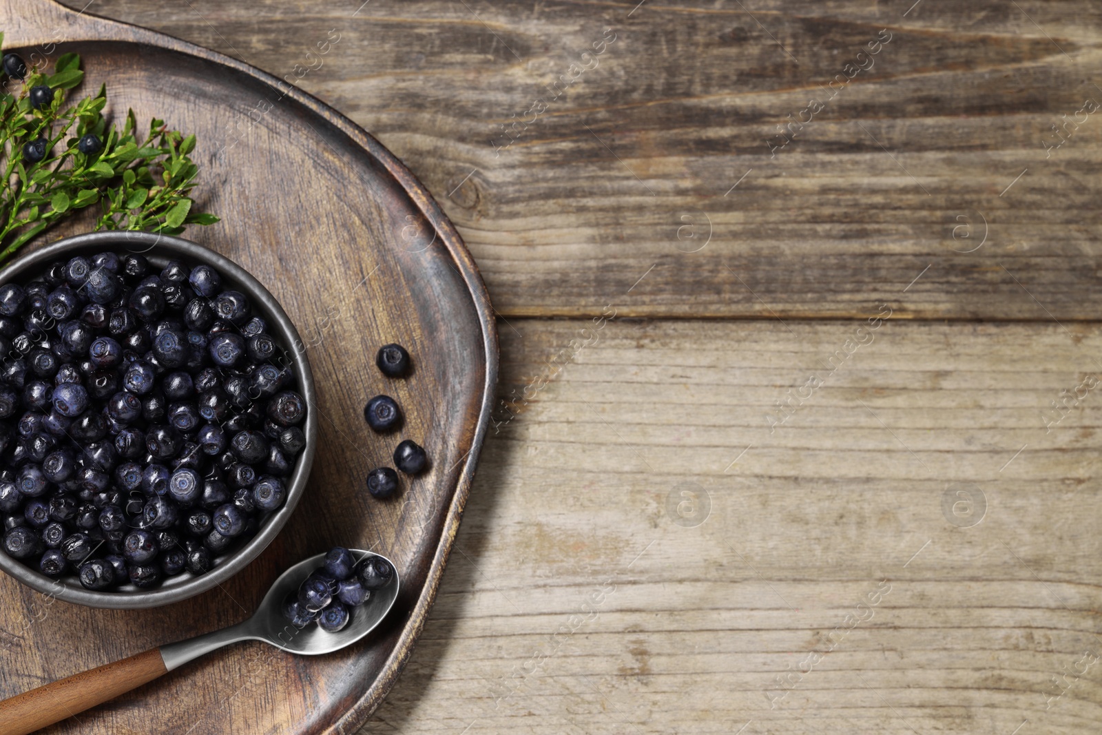 Photo of Ripe bilberries and sprigs with leaves on wooden table, top view. Space for text