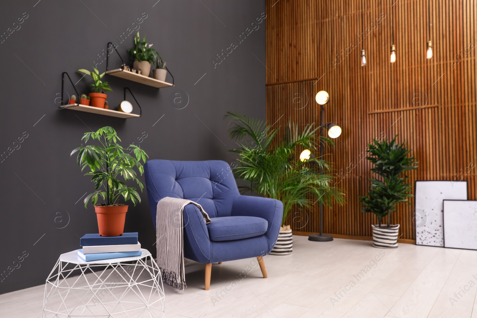 Photo of Room interior with armchair and indoor plants. Trendy home decor