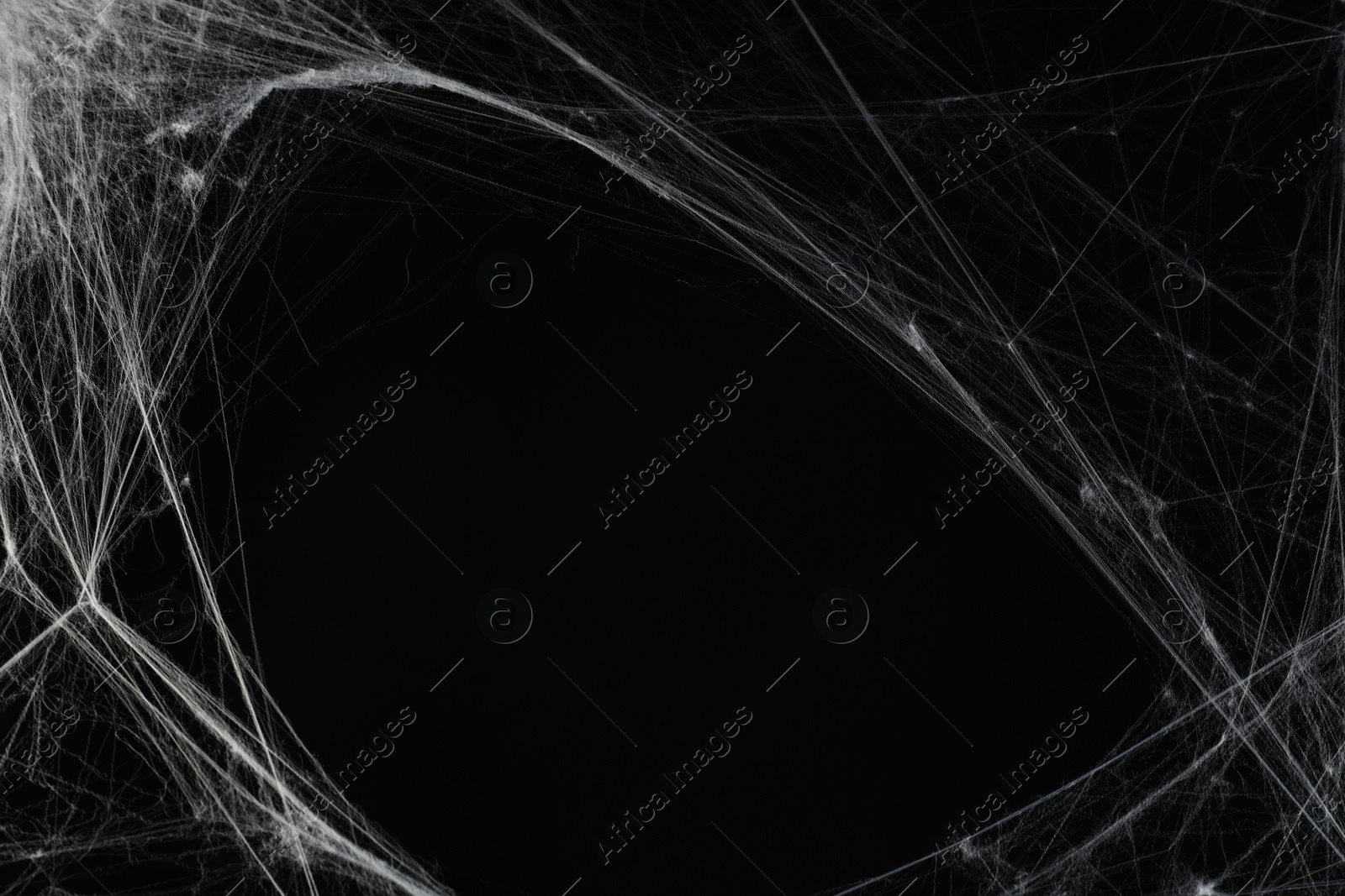 Photo of Creepy white cobweb on black background, space for text